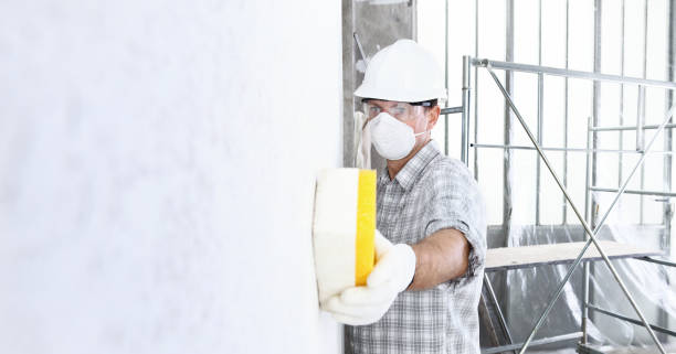 Reliable Kenmore, NY Mold Removal & Remediation Solutions