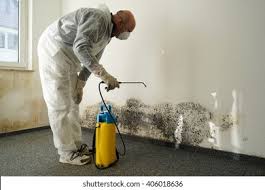 Best Water Damage & Mold Remediation  in Kenmore, NY